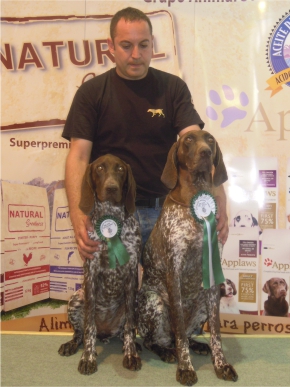 Expo nacional Canina Castellón 3